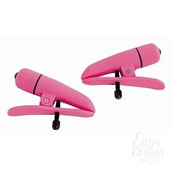  ����� �� ���� ������������ ��� ������ Nipplettes Pink 2589-04CDSE