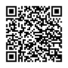    "   FLESHXL DOUBLE DONG - 33 ."  