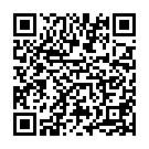    " - Realistic Cock 15,5 Inch No Scrotum - 39,5 ."  