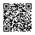    "  (ToyFa 83106)"  